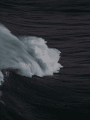 프로크리 브러쉬 공작소