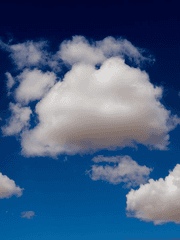 매화꽃 문 제비