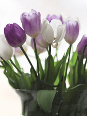 [재도] 시공간을 초월하여