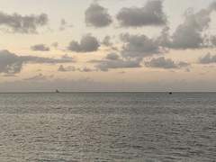 물들여지는 바다