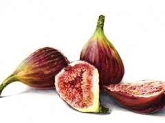 사랑하는 히나, 나의 하나 14