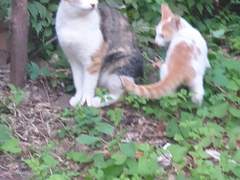 쓸쓸하고 외로운 당신에게 축복이 오기를.