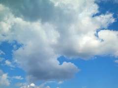 널 사랑하며 고통받고 떠나고