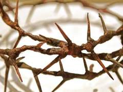 에스테반 | 마녀