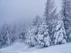 [이태용] 너는 나의 _ 이다. 01