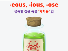 -ous, -eous, -ious, -ose
