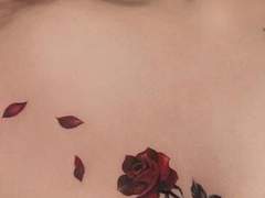 춘호리서 모음? zip 2