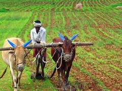 Agriculture Industry in India Size, Industry Overview, Trends, Insights and Forecast 2022-2027
