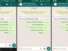 FM WhatsApp의 확인 표시는 무엇을 의미합니까?