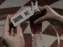 이상한 토끼굴 속에는