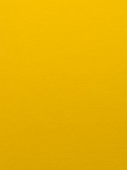 첫만남부터 꼬여버린 만남