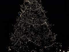 +116 그래도 크리스마스네