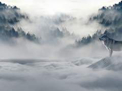 북의 얼음을 조각하는 예술가