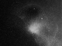 키시모토 슈이치