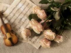 루시엘 마이어 ｜ XY ｜ 25