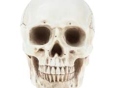 볼살 턱살 얼굴살 완벽하게 조지는법