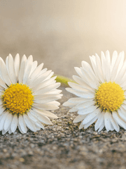 그 대신 내가 (Beside)