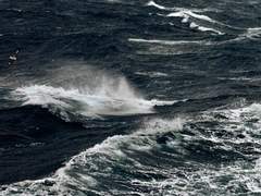 바다를 사랑한 소녀