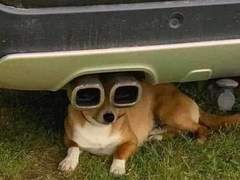 자동차 동아리 아닙니다 TALK