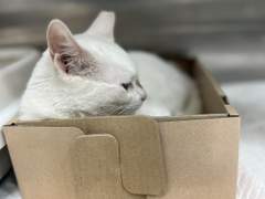 2주차 (221228 ~ 230103)