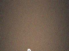 기록용 약고어 개인작