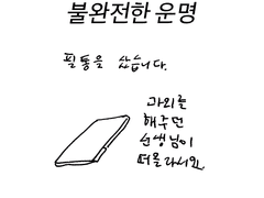 불완전한 운명