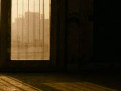 [조야백] 모든 망가진 것들이 담긴 상자