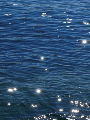 盛夏光年-영원한여름