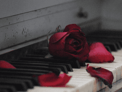 해솔커 • 공개 프로필 A