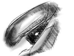 낙빗펜 무료배포