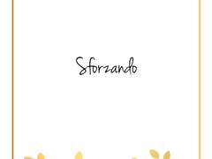 [미하시그] Sforzando