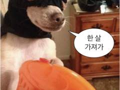 새해기념 노딱 추천 모음