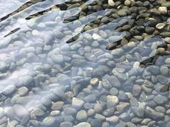 타오른다면 끝까지 타오르기를