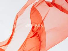 실로인 : 失老人