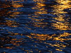 Child, child… adult?