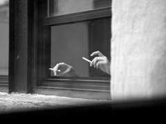 타이페이 만다린