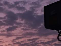 20XX년 7월 XX일의 여름과.