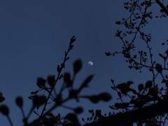 이해란 무엇일까.