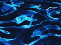 베르테르 증후군 산즈