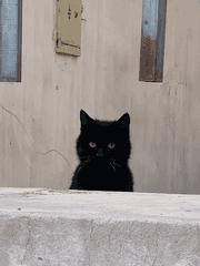 05회차 글 모임(2023~)