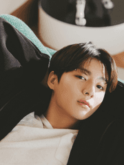 별이 내리는 숲