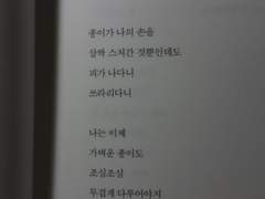 이해인-종이에 손을 베고