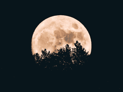 로나드라 전력/유리병에 담긴 사랑