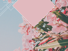 1인/2인 관계틀 배포