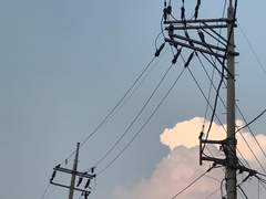 화단고등학교 사기꾼