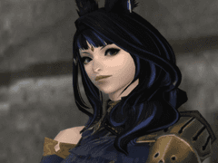 설영의 히엠스닉스