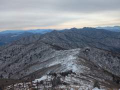날이란! 그릇에 가득 채우리라