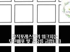 [무료] 흰 / 검