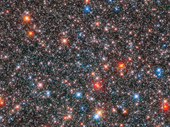 [백툥] 너라는 우주