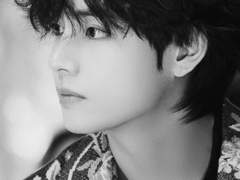 [뷔진] Butterfly 14